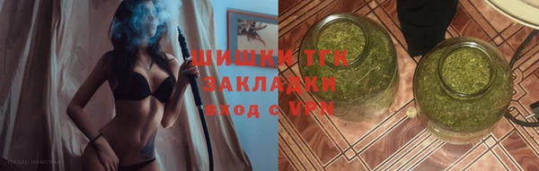 PSILOCYBIN Слюдянка