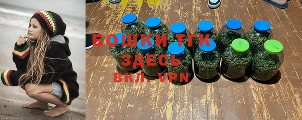 PSILOCYBIN Слюдянка