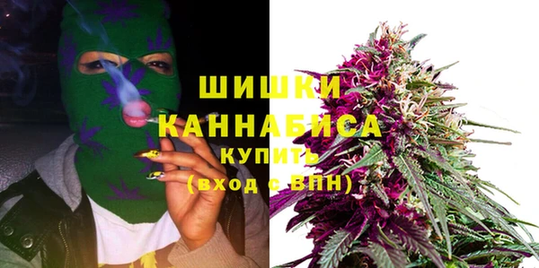 PSILOCYBIN Слюдянка