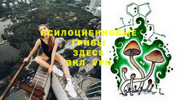 круглые Иннополис