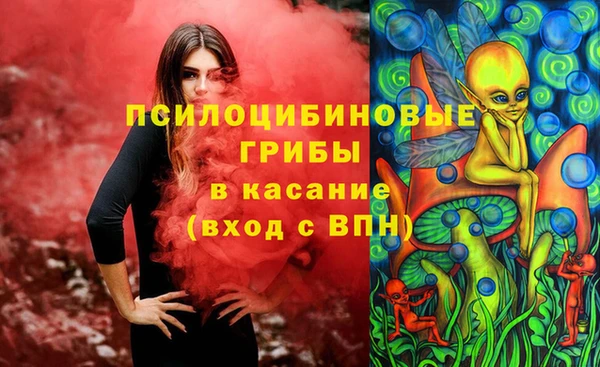 прущие крисы Снежногорск
